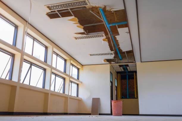 Best Professional water damage repair  in Glasgow, KY