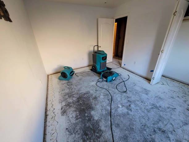Best 24/7 water damage repair  in Glasgow, KY