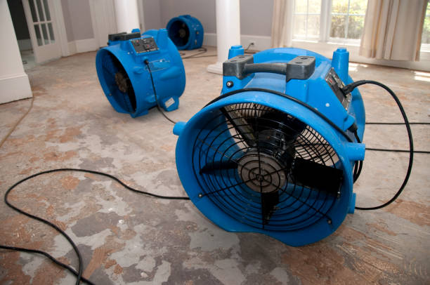 Best Flood damage cleanup  in Glasgow, KY