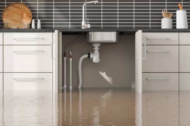 Best Water damage restoration company  in Glasgow, KY