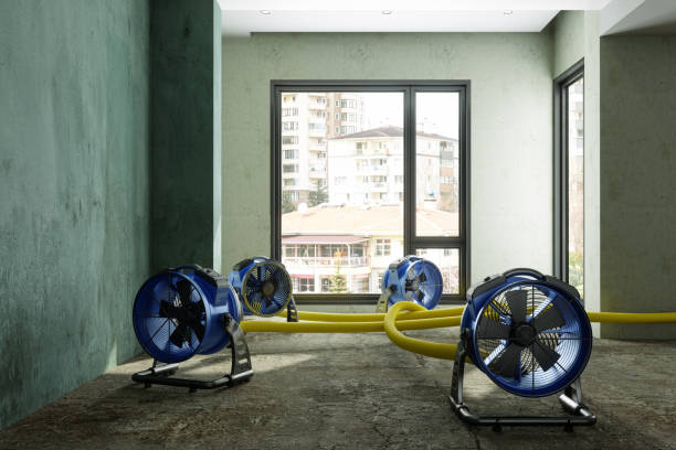 Best Water damage restoration near me  in Glasgow, KY